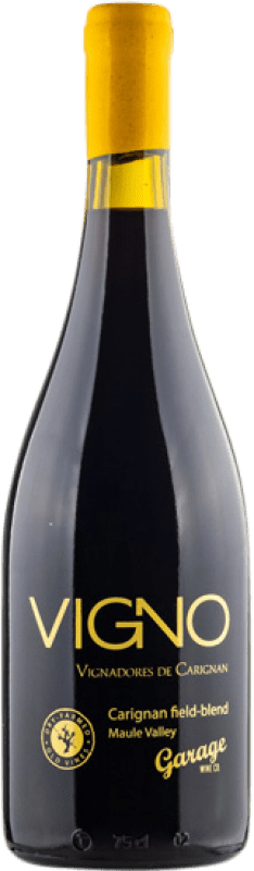 49,95 € Spedizione Gratuita | Vino rosso Garage Wine I.G. Valle del Maule Valle del Maule Chile Carignan Bottiglia 75 cl