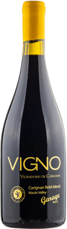 39,95 € Free Shipping | Red wine Garage Wine I.G. Valle del Maule Maule Valley Chile Carignan Bottle 75 cl