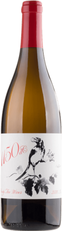 14,95 € Spedizione Gratuita | Vino bianco Familia Bañales. 1150 DC D.O. Navarra Navarra Spagna Moscato Giallo Bottiglia 75 cl