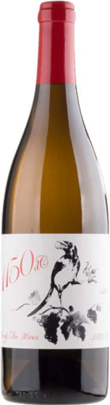 9,95 € Free Shipping | White Wine Familia Bañales. 1150 DC D.O. Navarra Navarre Spain Moscatel — Muscat 75 cl