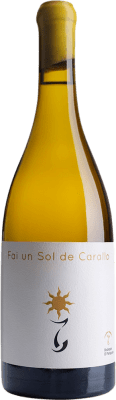 68,95 € 免费送货 | 白酒 El Paraguas Fai un Sol de Carallo D.O. Ribeiro 西班牙 Godello, Treixadura, Albariño 瓶子 75 cl