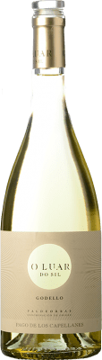 Pago de los Capellanes O Luar do Sil Godello 1,5 L