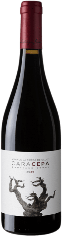 14,95 € Spedizione Gratuita | Vino Rosso Santiago Jordi Cara Cepa Rovere I.G.P. Vino de la Tierra de Cádiz Andalusia Spagna Syrah, Petit Verdot, Tintilla de Rota Bottiglia 75 cl