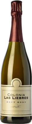 23,95 € Kostenloser Versand | Rosé Sekt Altos Las Hormigas Colonia Las Liebres Brut Nature Rosé I.G. Mendoza Mendoza Argentinien Bonarda 75 cl