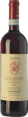 21,95 € 送料無料 | 赤ワイン Antoniolo Juvenia D.O.C. Coste della Sesia ピエモンテ イタリア Nebbiolo ボトル 75 cl