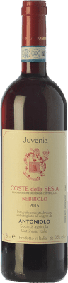 19,95 € Envoi gratuit | Vin rouge Antoniolo Juvenia D.O.C. Coste della Sesia Piémont Italie Nebbiolo Bouteille 75 cl
