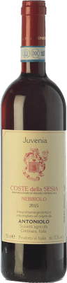 21,95 € Envío gratis | Vino Tinto Antoniolo Juvenia D.O.C. Coste della Sesia Piemonte Italia Nebbiolo 75 cl