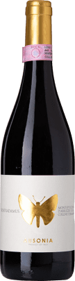 26,95 € 免费送货 | 红酒 Ausonia Nostradamus D.O.C.G. Montepulciano d'Abruzzo Colline Teramane 阿布鲁佐 意大利 Montepulciano 瓶子 75 cl