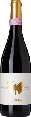 Ausonia Nostradamus Montepulciano 75 cl