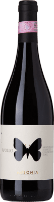 16,95 € 免费送货 | 红酒 Ausonia Apollo D.O.C.G. Montepulciano d'Abruzzo Colline Teramane 阿布鲁佐 意大利 Montepulciano 瓶子 75 cl