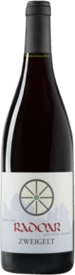 12,95 € Envio grátis | Vinho tinto Radoar I.G.T. Vigneti delle Dolomiti Trentino Itália Zweigelt Garrafa 75 cl