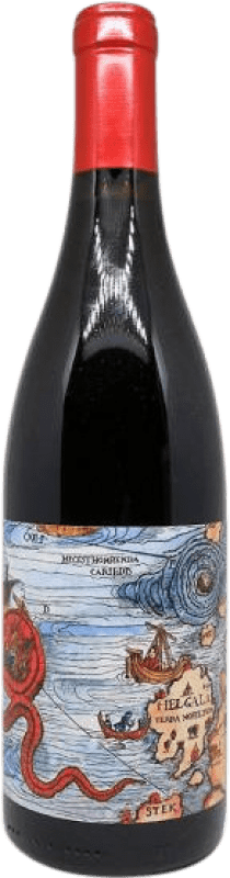 26,95 € Free Shipping | Red wine Birinchino Scylla Assemblage I.G. Santa Cruz Mountains California United States Grenache Tintorera, Carignan, Mourvèdre Bottle 75 cl