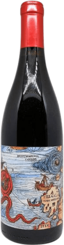 28,95 € Envoi gratuit | Vin Rouge Birinchino Scylla Assemblage I.G. Santa Cruz Mountains Californie États Unis Garnacha — Grenache, Cariñena — Carignan, Mourvèdre Bouteille 75 cl