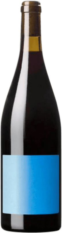 19,95 € 免费送货 | 红酒 Panduro Tinto D.O. Yecla 穆尔西亚地区 西班牙 Monastrell 瓶子 75 cl