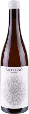 16,95 € Free Shipping | White Wine Vinessens Salicornio D.O. Alicante Valencian Community Spain Malvasia Eco — Organic 75 cl