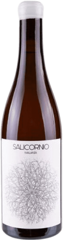 15,95 € Envío gratis | Vino blanco Vinessens Salicornio D.O. Alicante Comunidad Valenciana España Malvasía Botella 75 cl
