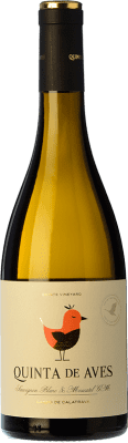 9,95 € Envoi gratuit | Vin blanc Quinta de Aves Sauvignon y Moscatel Crianza I.G.P. Vino de la Tierra de Castilla Castilla La Mancha Espagne Sauvignon Blanc, Muscat Petit Grain Bouteille 75 cl