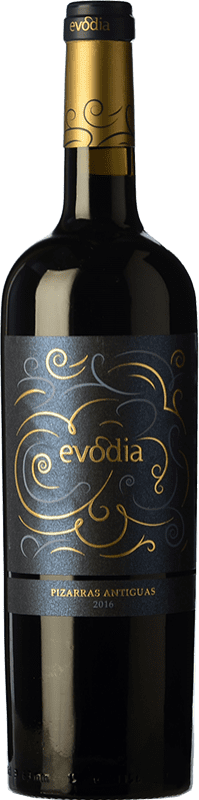 10,95 € Free Shipping | Red wine San Alejandro Evodia Pizarras Antiguas Crianza D.O. Calatayud Spain Grenache Bottle 75 cl
