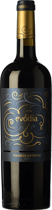 11,95 € Spedizione Gratuita | Vino Rosso San Alejandro Evodia Pizarras Antiguas Crianza — Invecchiato in Botte D.O. Calatayud Spagna Garnacha — Grenache Bottiglia 75 cl