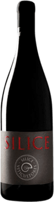 31,95 € Free Shipping | Red wine Sílice Finca Xábrega Galicia Spain Mencía, Grenache Tintorera Organic Bottle 75 cl