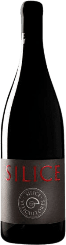31,95 € Бесплатная доставка | Красное вино Sílice Finca Xábrega Галисия Испания Mencía, Grenache Tintorera бутылка 75 cl