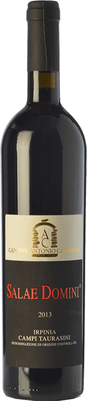 22,95 € Бесплатная доставка | Красное вино Caggiano Campi Taurasini Salae Domini D.O.C. Irpinia Кампанья Италия Aglianico бутылка 75 cl