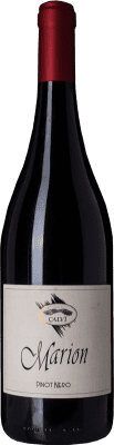 14,95 € Free Shipping | Red wine Calvi Marion D.O.C. Oltrepò Pavese Lombardia Italy Pinot Black Bottle 75 cl