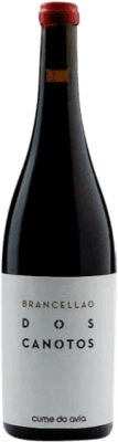 41,95 € Free Shipping | Red wine Cume do Avia Dos Canotos D.O. Ribeiro Galicia Spain Brancellao Bottle 75 cl