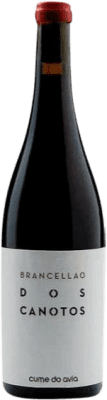 41,95 € Kostenloser Versand | Rotwein Cume do Avia Dos Canotos D.O. Ribeiro Galizien Spanien Brancellao Flasche 75 cl