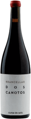 Cume do Avia Dos Canotos Brancellao Biologique 75 cl