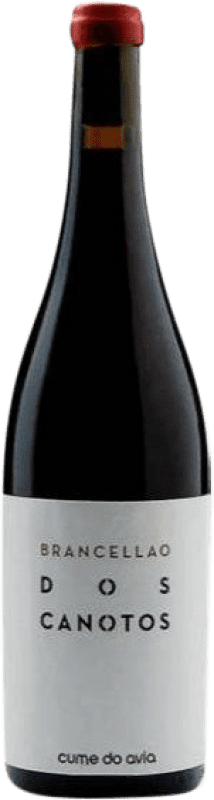 32,95 € Envoi gratuit | Vin rouge Cume do Avia Dos Canotos D.O. Ribeiro Galice Espagne Brancellao Biologique Bouteille 75 cl