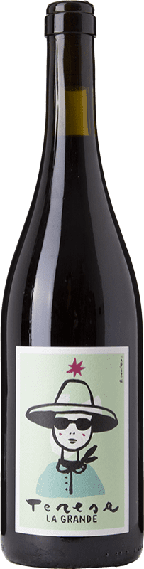 22,95 € Free Shipping | Red wine Tavijn Teresa La Grande D.O.C. Piedmont Piemonte Italy Ruchè Bottle 75 cl
