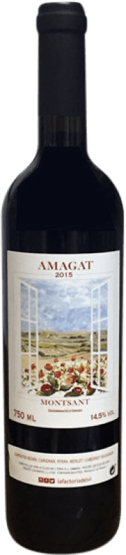 14,95 € Free Shipping | Red wine Clos de L'Ona Amagat D.O. Montsant Catalonia Spain Merlot, Syrah, Cabernet Sauvignon, Grenache Tintorera, Carignan Bottle 75 cl