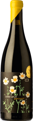 16,95 € 免费送货 | 红酒 Arrufí Panicort Criança 岁 D.O. Terra Alta 加泰罗尼亚 西班牙 Grenache, Carignan 瓶子 75 cl