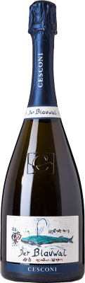 49,95 € Envío gratis | Espumoso blanco Cesconi Blauwal Extra Brut Reserva D.O.C. Trento Trentino-Alto Adige Italia Chardonnay Botella 75 cl