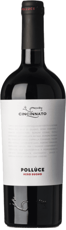 9,95 € Kostenloser Versand | Rotwein Cincinnato Nero Buono Polluce I.G.T. Lazio Latium Italien Flasche 75 cl