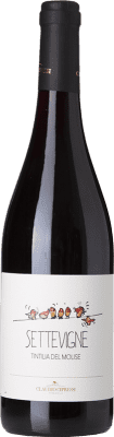32,95 € Бесплатная доставка | Красное вино Claudio Cipressi Settevigne D.O.C. Molise Молизе Италия Tintilla бутылка 75 cl