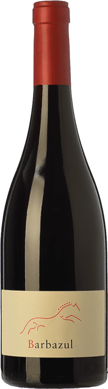 26,95 € Free Shipping | Red wine Huerta de Albalá Barbazul I.G.P. Vino de la Tierra de Cádiz Andalusia Spain Merlot, Syrah, Cabernet Sauvignon, Tintilla de Rota Magnum Bottle 1,5 L