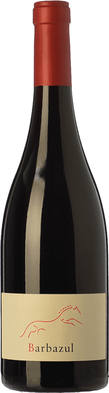 35,95 € Free Shipping | Red Wine Huerta de Albalá Barbazul I.G.P. Vino de la Tierra de Cádiz Andalusia Spain Merlot, Syrah — Shiraz, Cabernet Sauvignon, Tintilla de Rota Magnum Bottle 1,5 L