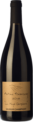 21,95 € Бесплатная доставка | Красное вино Antoine Sanzay La Haye Dampierre Дуб A.O.C. Saumur-Champigny Луара Франция Cabernet Franc бутылка 75 cl