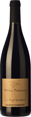 42,95 € Envio grátis | Vinho tinto Antoine Sanzay La Haye Dampierre Carvalho A.O.C. Saumur-Champigny Loire França Cabernet Franc Garrafa 75 cl