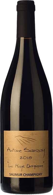 21,95 € Free Shipping | Red wine Antoine Sanzay La Haye Dampierre Oak A.O.C. Saumur-Champigny Loire France Cabernet Franc Bottle 75 cl