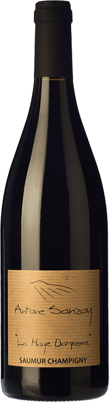 36,95 € Envío gratis | Vino Tinto Antoine Sanzay La Haye Dampierre Roble A.O.C. Saumur-Champigny Loire Francia Cabernet Franc Eco — Ecológico 75 cl