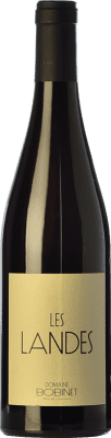 29,95 € Free Shipping | Red wine Domaine Bobinet Les Landes Aged A.O.C. Saumur-Champigny Loire France Cabernet Franc Bottle 75 cl