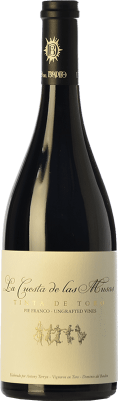 169,95 € Бесплатная доставка | Красное вино Dominio del Bendito La Cuesta de las Musas старения D.O. Toro Кастилия-Леон Испания Tinta de Toro бутылка 75 cl