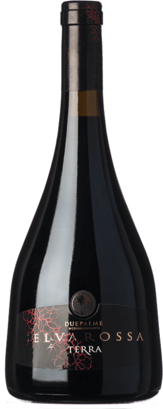 27,95 € Free Shipping | Red wine Due Palme Selvarossa Terra Reserve D.O.C. Salice Salentino Puglia Italy Malvasia Black, Negroamaro Bottle 75 cl