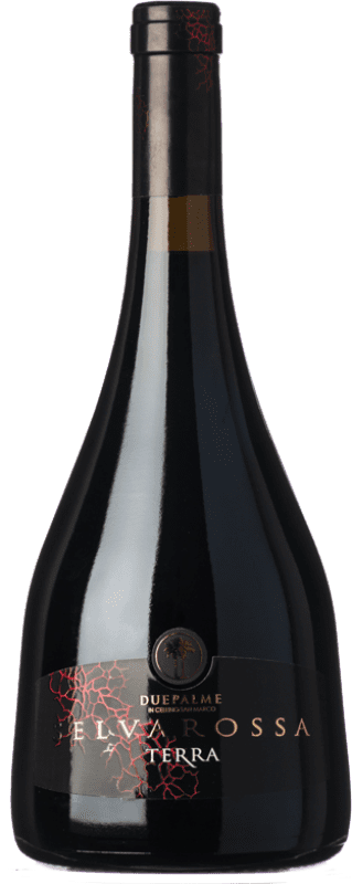 28,95 € Envío gratis | Vino tinto Due Palme Selvarossa Terra Reserva D.O.C. Salice Salentino Puglia Italia Malvasía Negra, Negroamaro Botella 75 cl