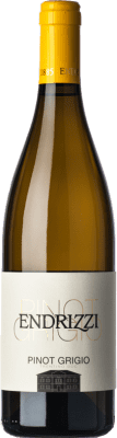 Endrizzi Pinot Cinza 75 cl