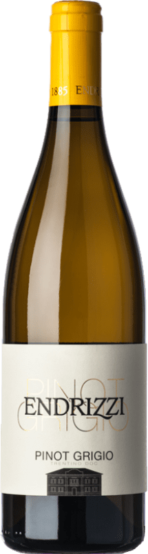 13,95 € Envío gratis | Vino blanco Endrizzi D.O.C. Trentino Trentino-Alto Adige Italia Pinot Gris Botella 75 cl