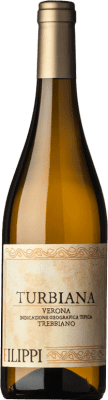 27,95 € Envio grátis | Vinho branco Filippi Turbiana I.G.T. Veronese Vêneto Itália Trebbiano di Lugana Garrafa 75 cl